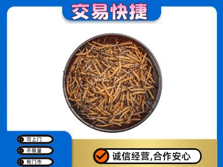 九江瑞昌市礼品回收虫草.jpg